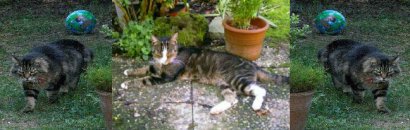 Cui Honorem, Honorem